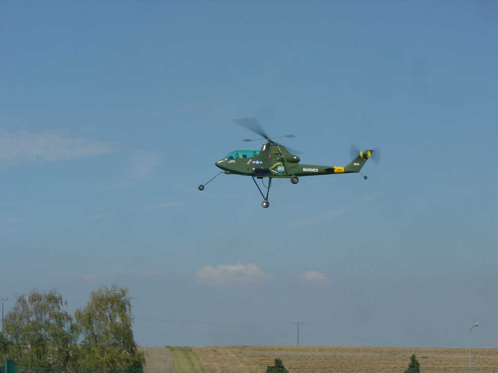 Hegi-Cobra : Schauflug von Ewald Glanzer während der F3C EM in Bitburg