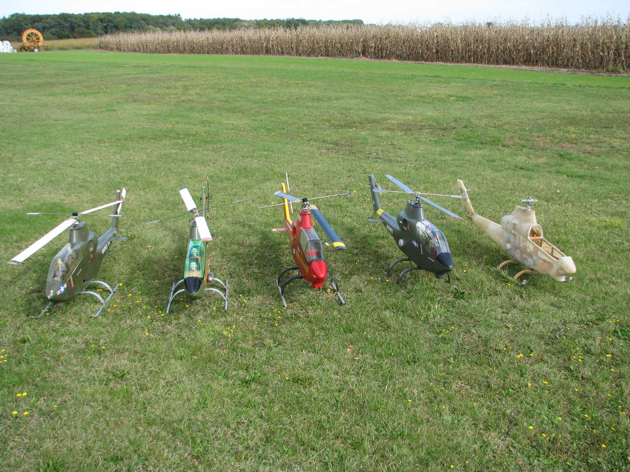 Cobrasammlung auf dem Flugplatz