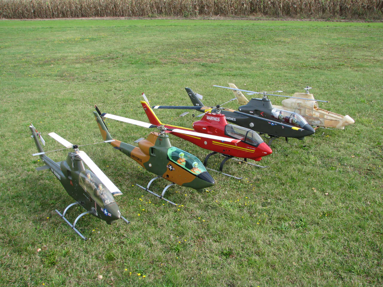 Cobrasammlung auf dem Flugplatz